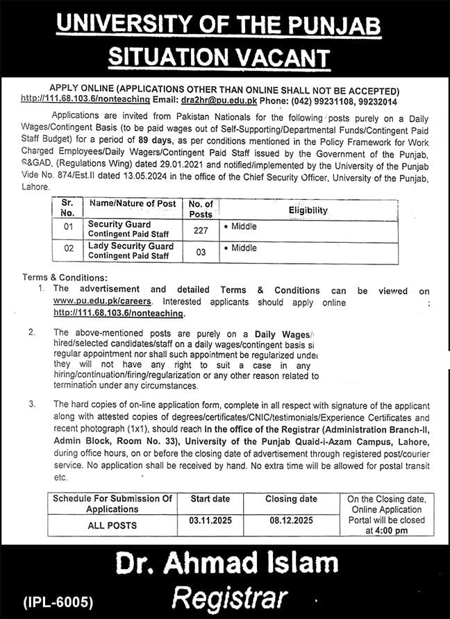 University of the Punjab Jobs 2025